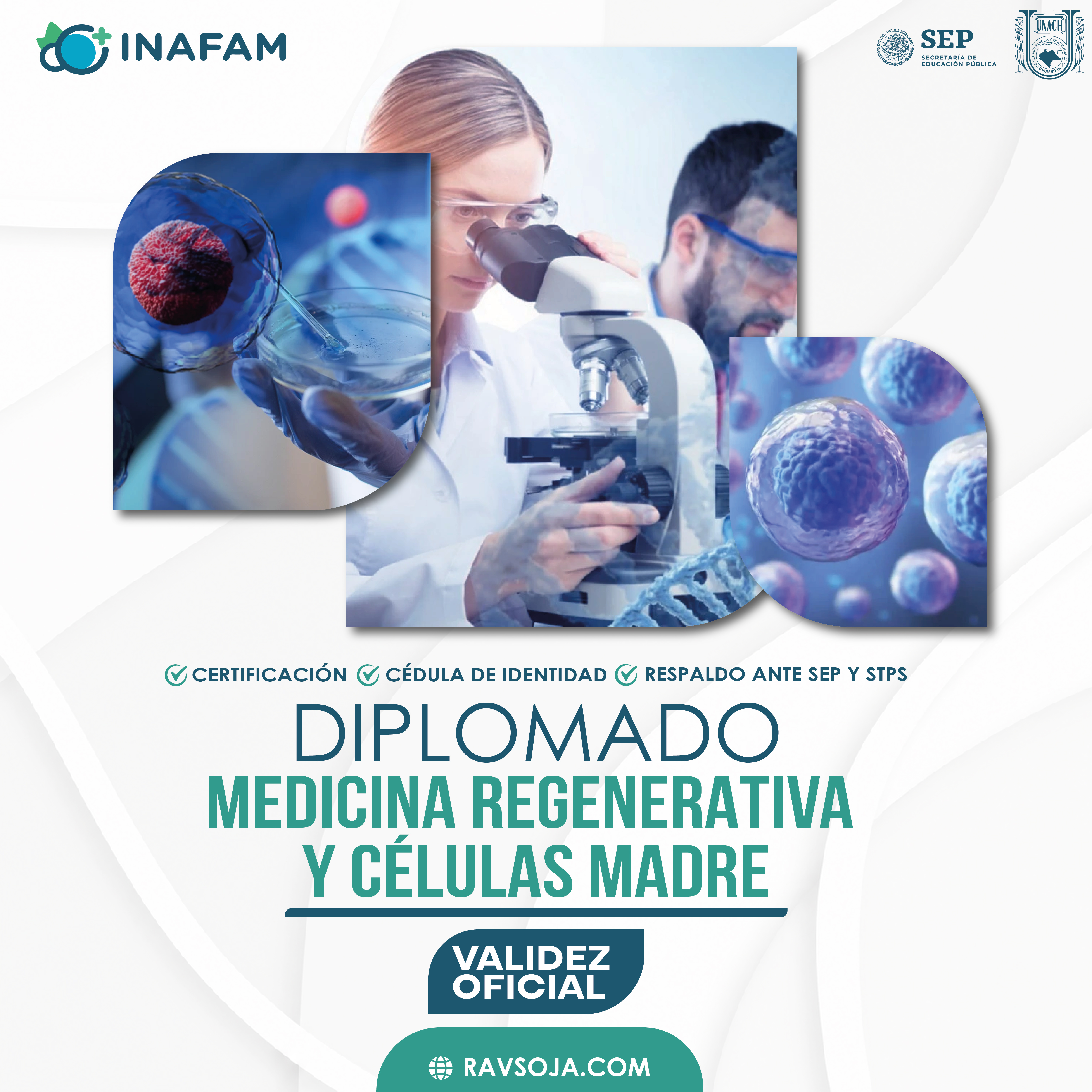 MEDICINA REGENERATIVA Y CELULAS MADRE